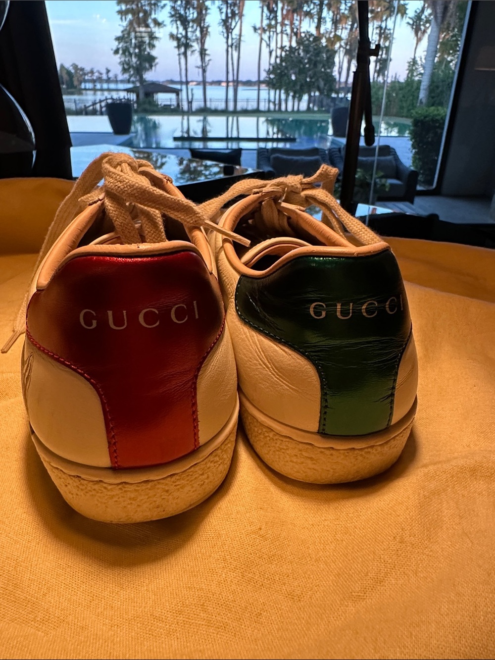 Gucci White Leather Sneakers with Cat Print and Blue/Red Heel Tabs - Picture 5 of 5